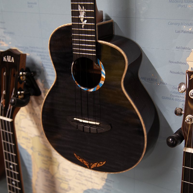 aNueNue-Black-Whale-Concert-Electro-Ukulele-1.jpg