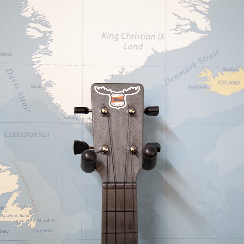 outdoor uke 2.jpg