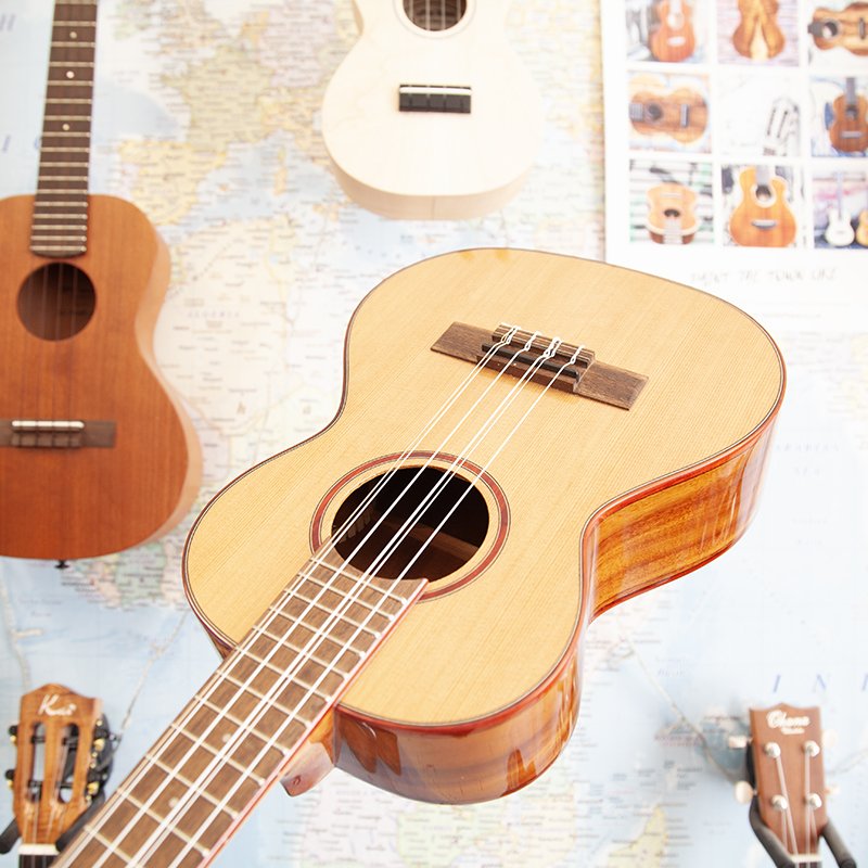 6-string-kala-4.jpg