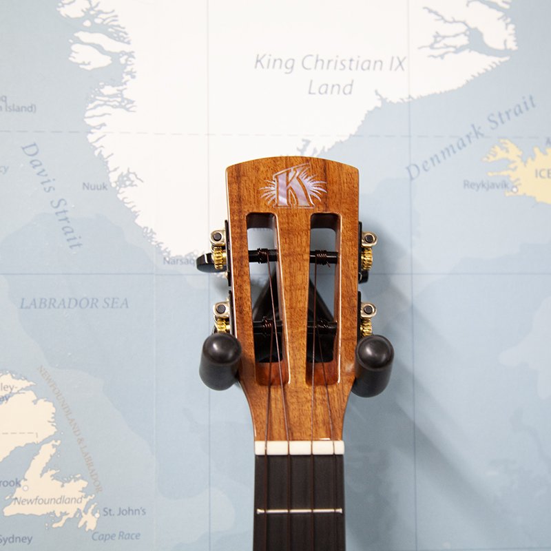Kala-Umbra-Tenor-Electro-Ukulele-2.jpg