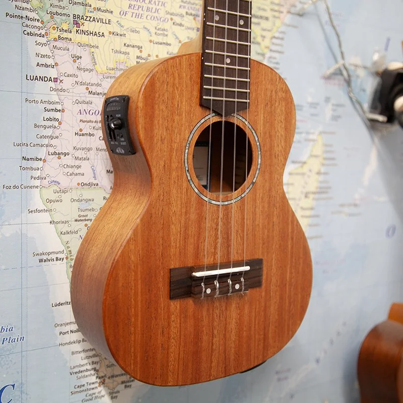 Kala-James-Hill-Kala KA-JH-AMHG-C-E-concert-electro-ukulele-1.jpg