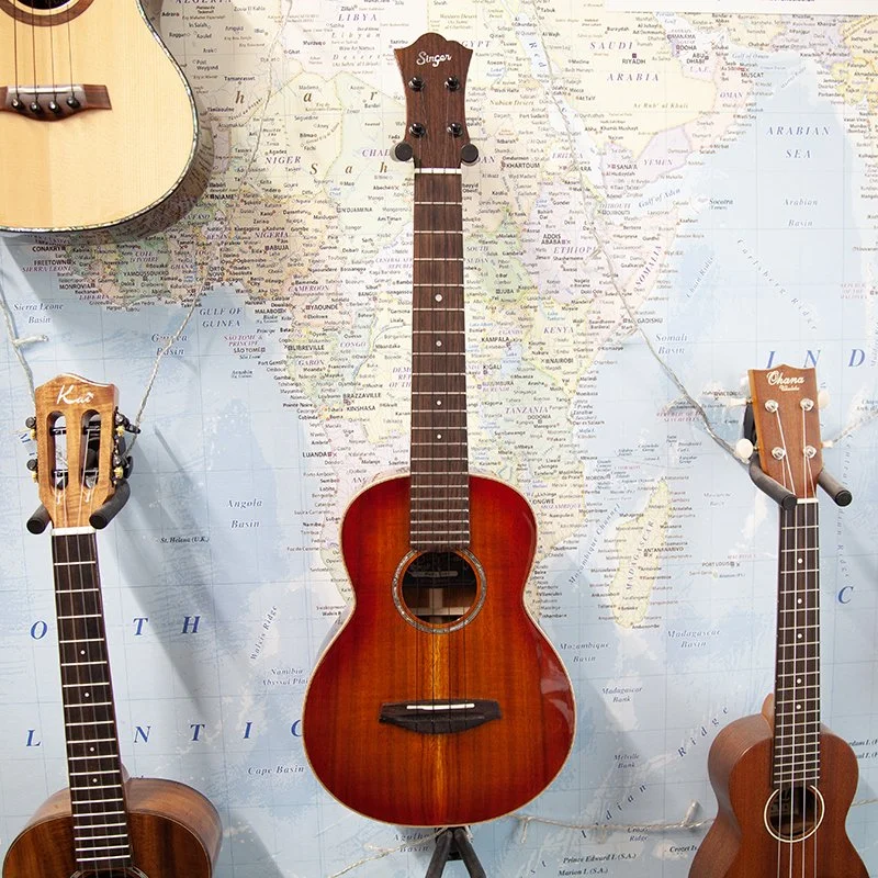 singer-rt1k-it.jpg