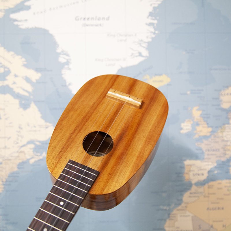 kiwaya-ks-4pg pineapple-4.jpg