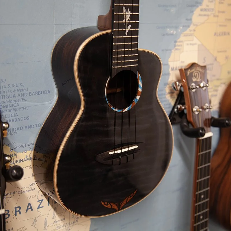 aNueNue-Black-Whale-Concert-Ukulele-1.jpg