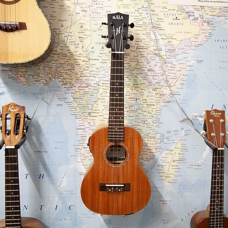 Kala-James-Hill-Kala KA-JH-AMHG-C-E-concert-electro-ukulele.jpg