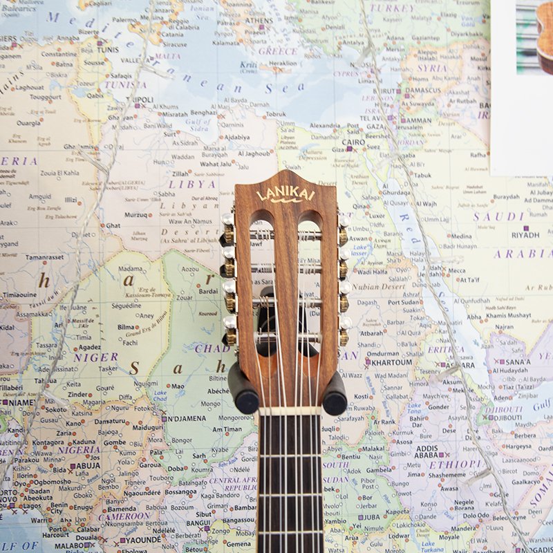 Lanikai-8-string-electro-2.jpg