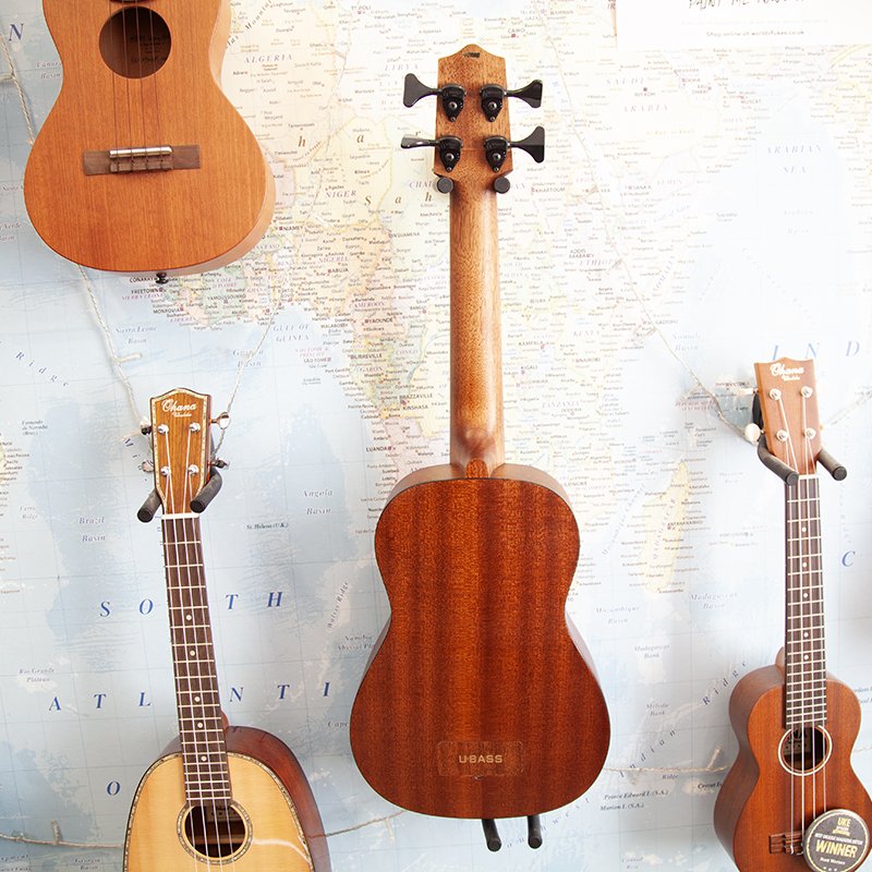 ubass1-fretless-3.jpg