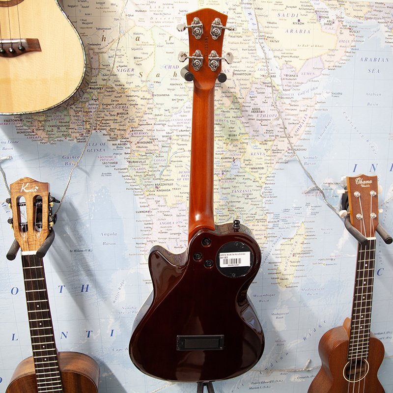 Godin-used-3.jpg