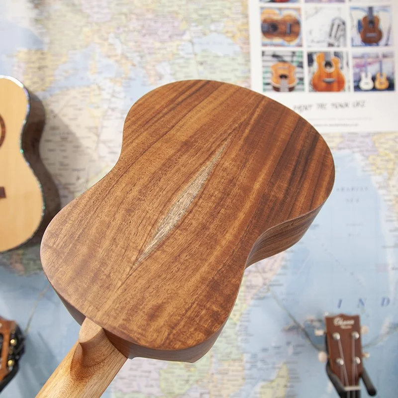 Snail-SR-04TEQ-Electro-Tenor-Ukulele-4.jpg
