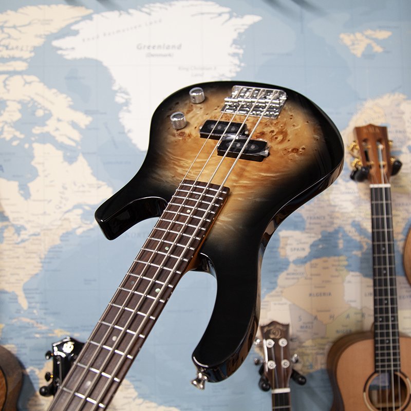 flight-p-bass-4.jpg