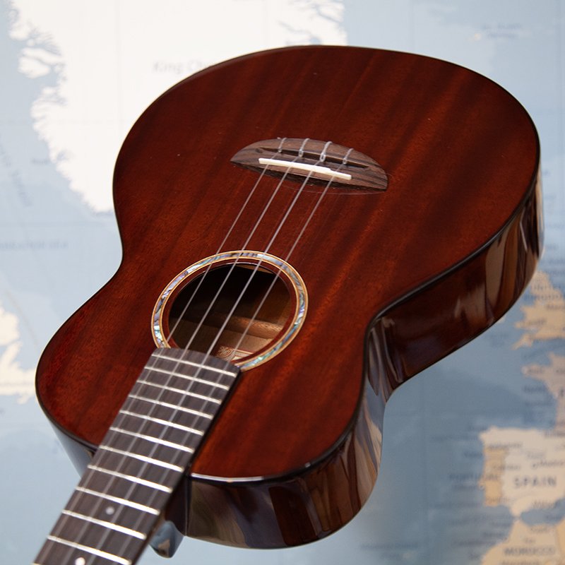 aNueNue-AMM3-Tenor-Ukulele-4.jpg