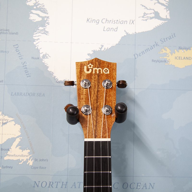 Uma-Classic-SC-Acacia-Concert-Ukulele-2.jpg
