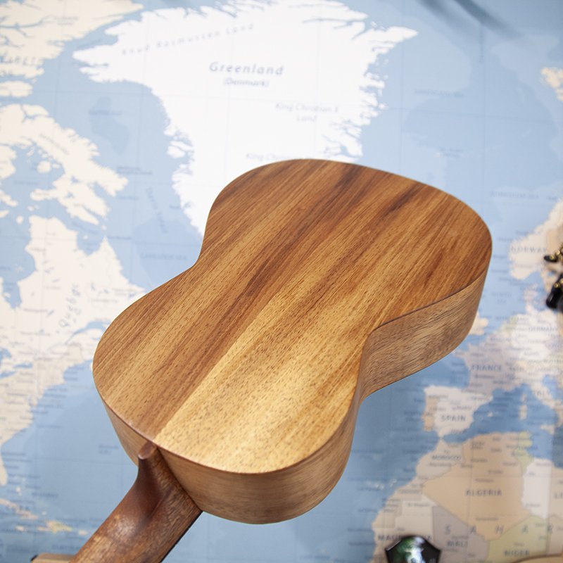 Martin-T1K-Koa-Tenor-Ukulele-5.jpg