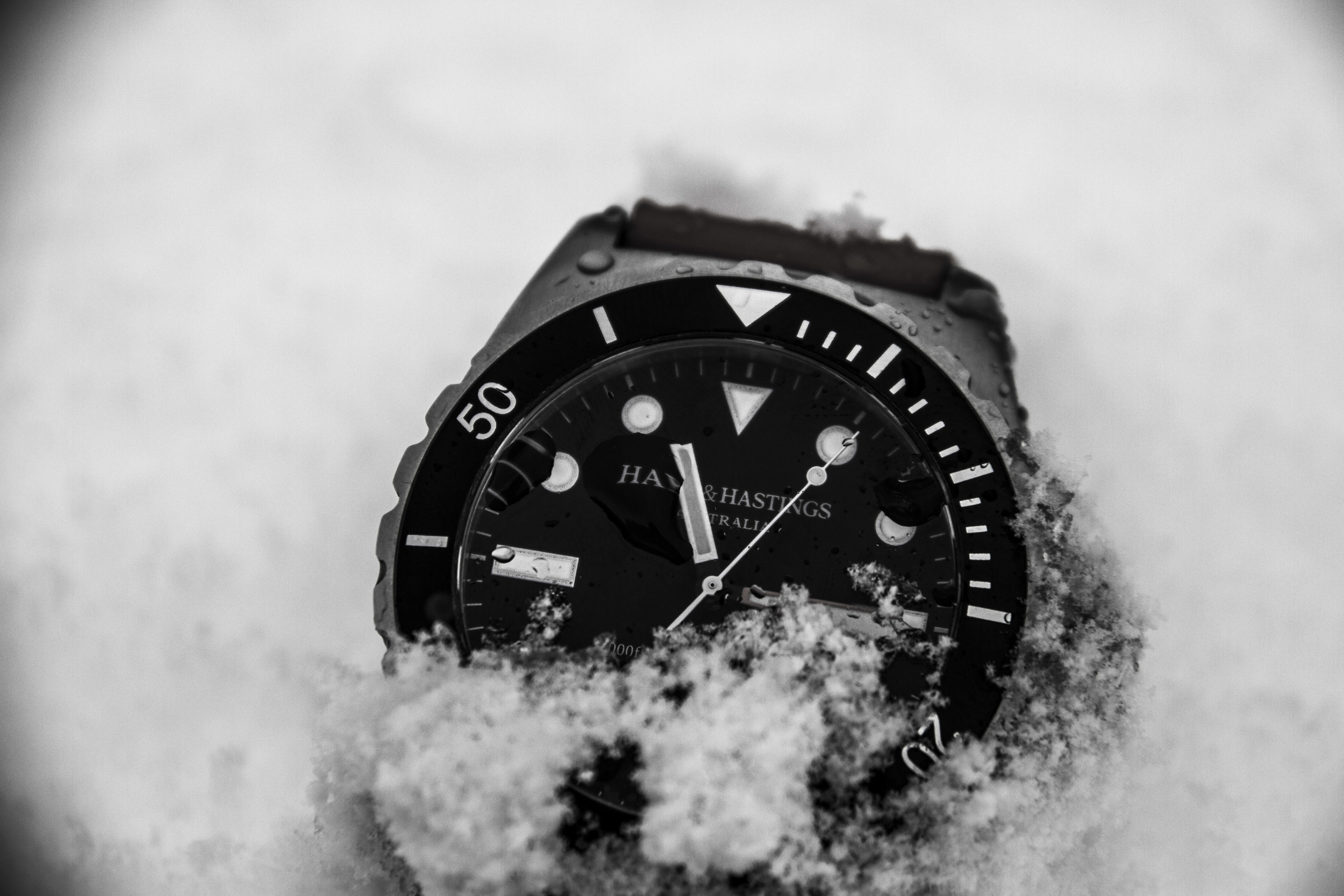 _MG_0374.JPG