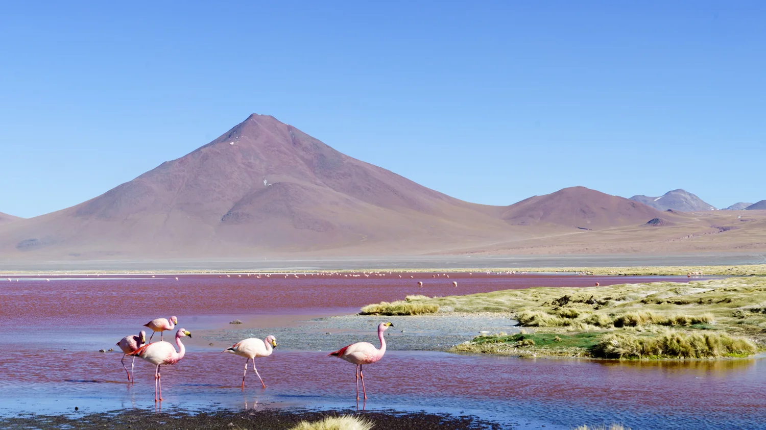 Bolivia-6.jpg