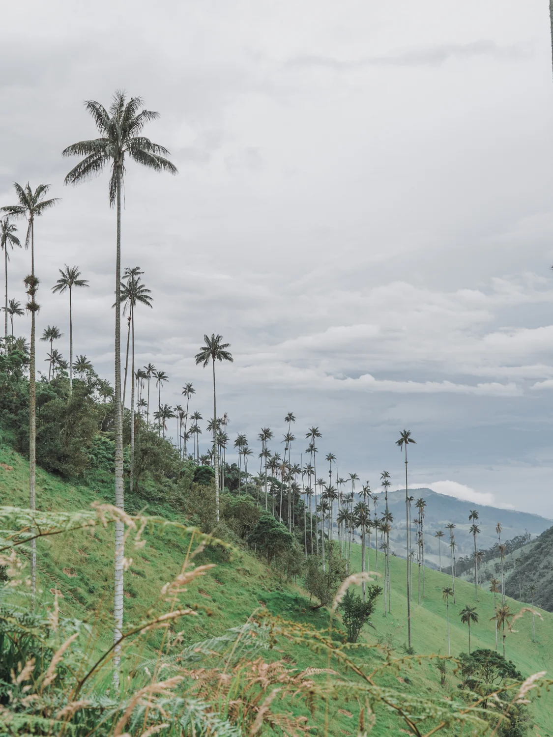 Landscape 3.jpg
