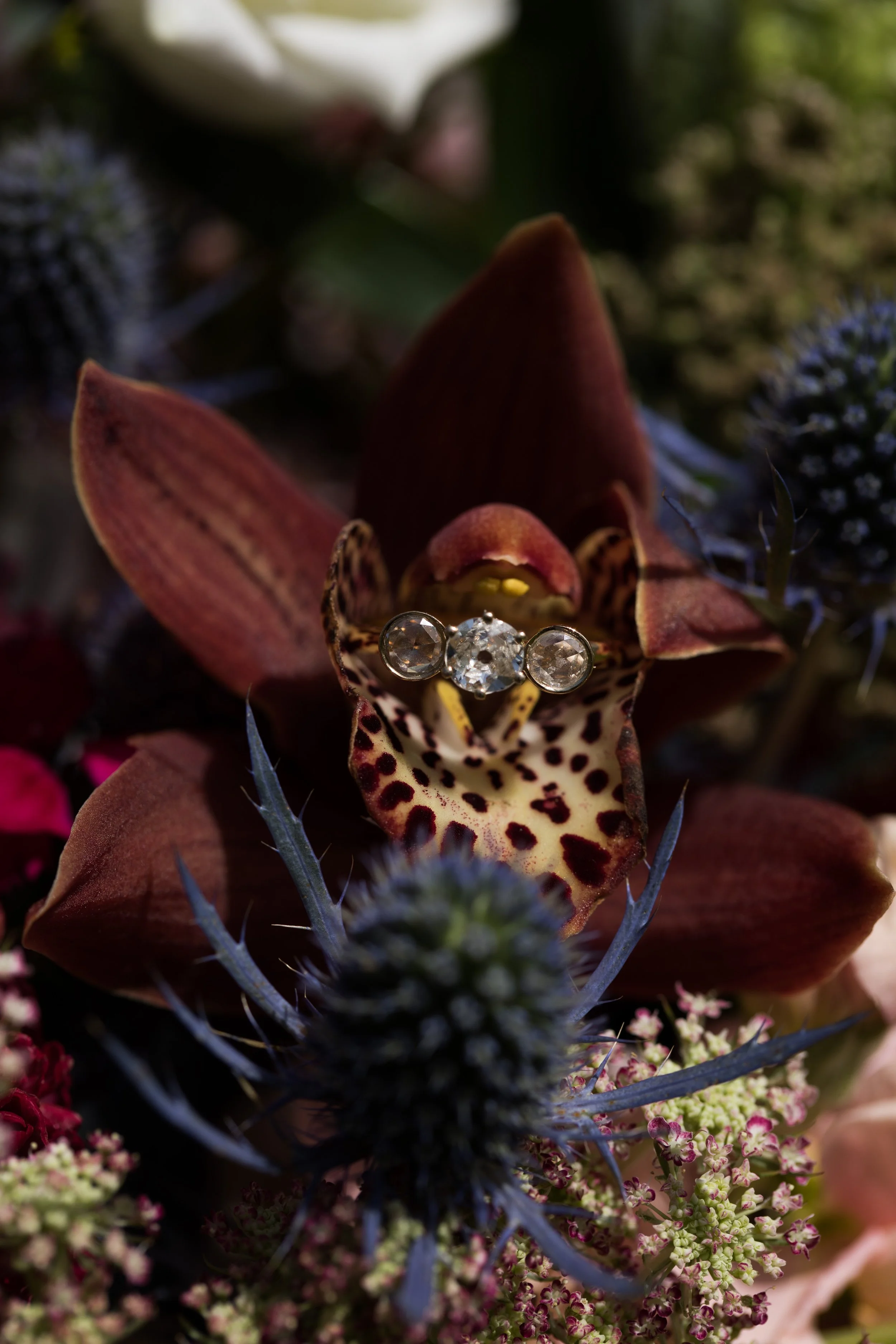 weddingphotos-118391.jpg