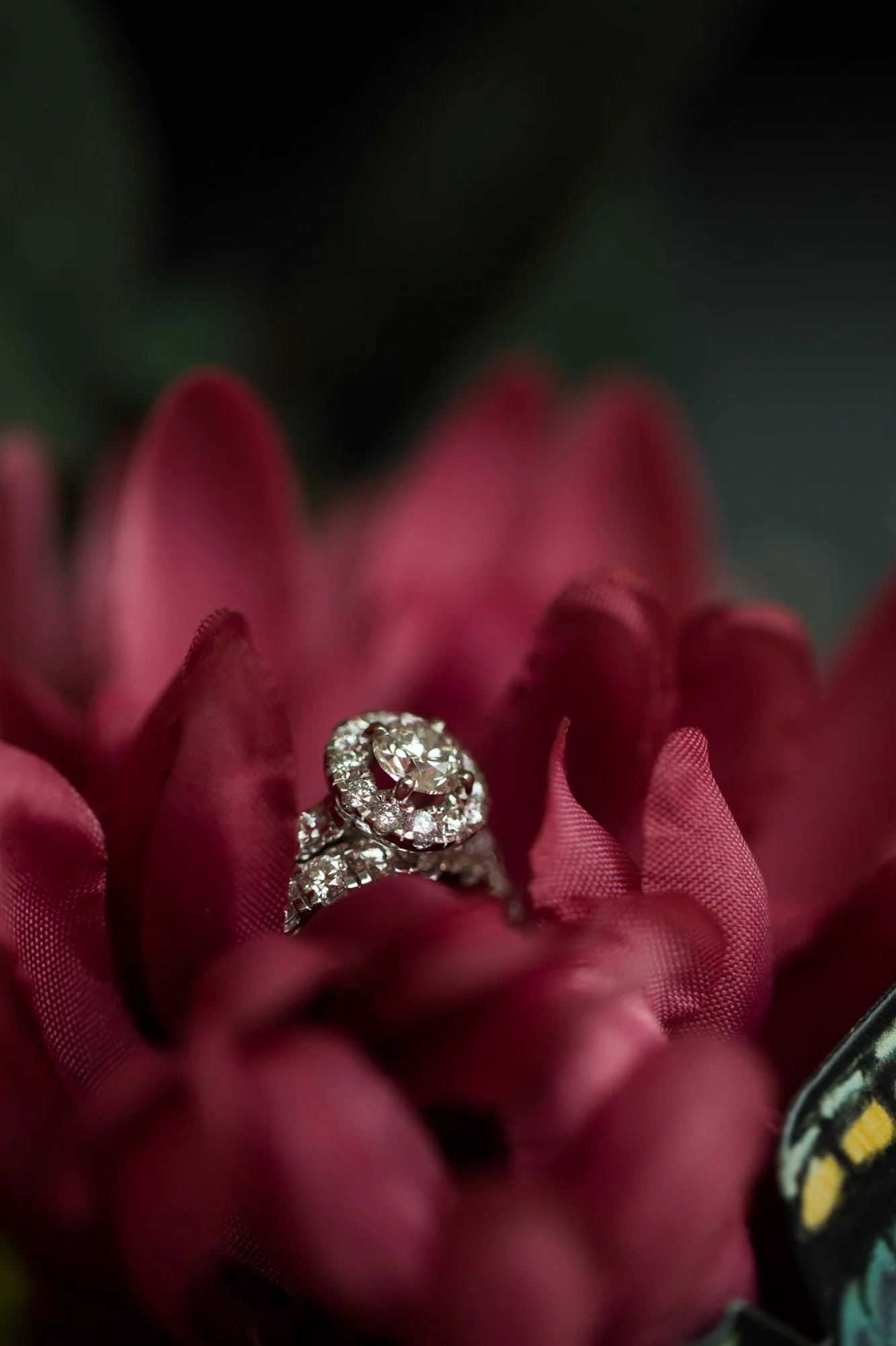FG_sneakpeek-133586.jpg