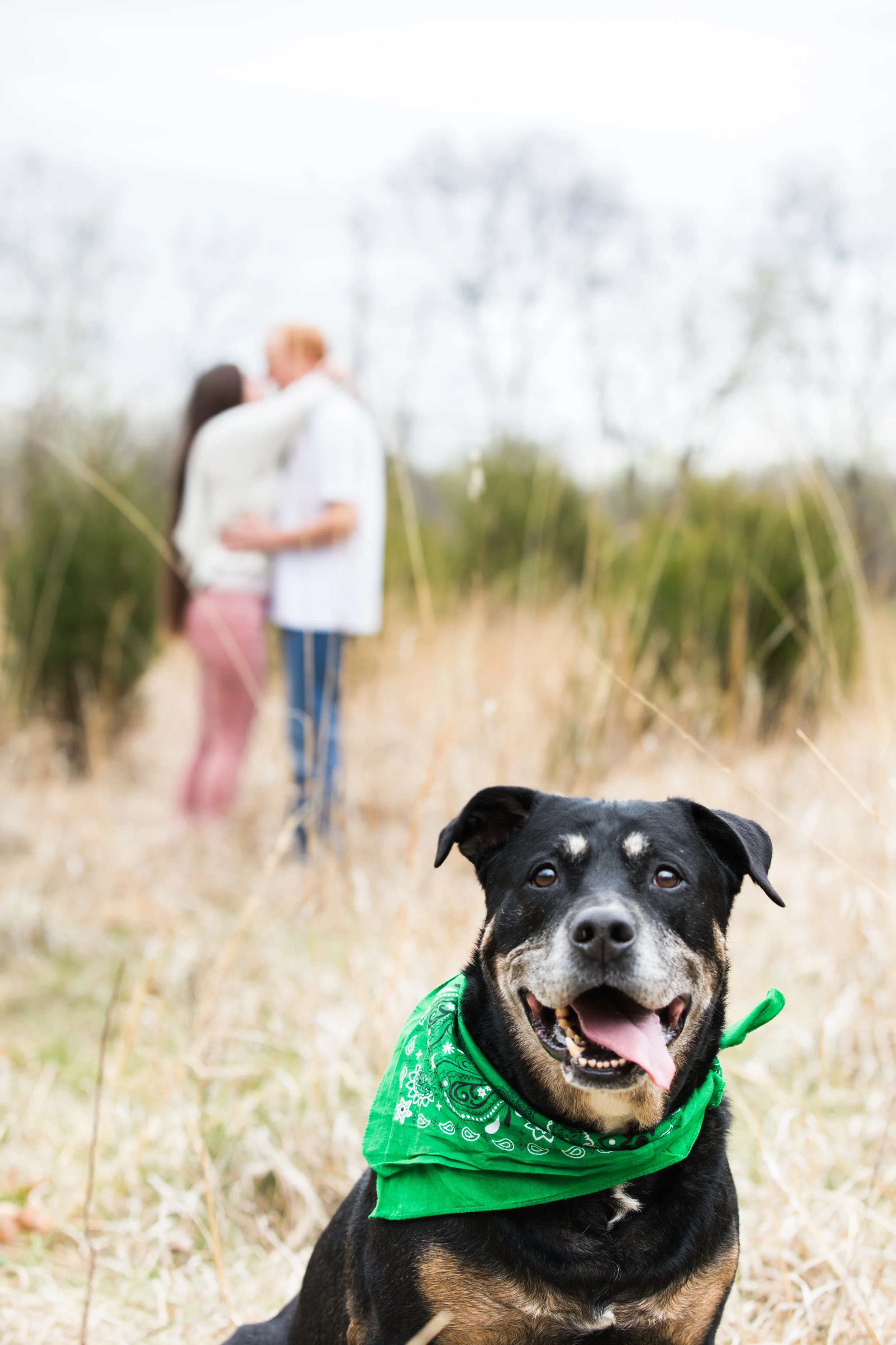 emtyengagement-65.jpg