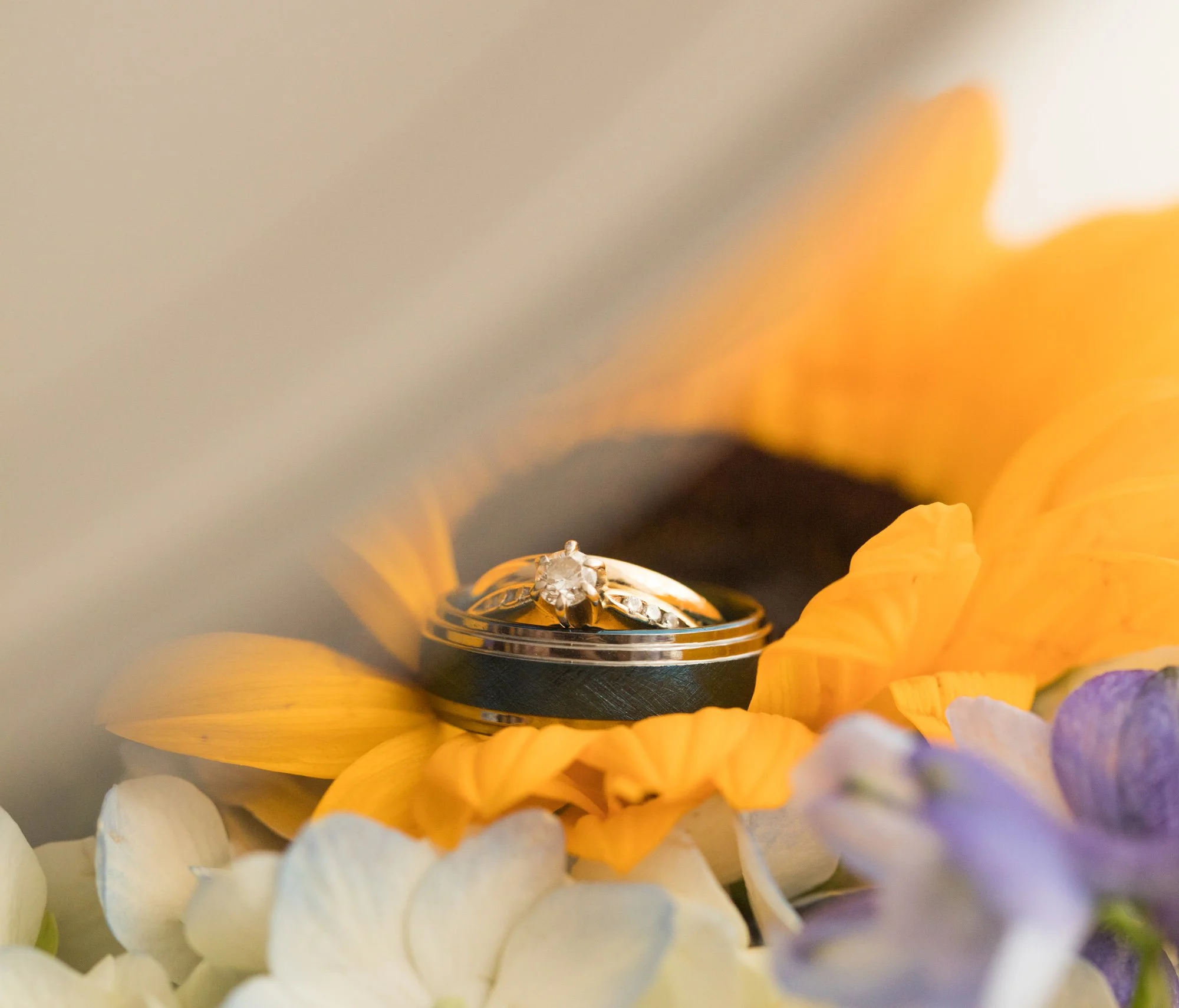 alexmaxwedding-158175.jpg