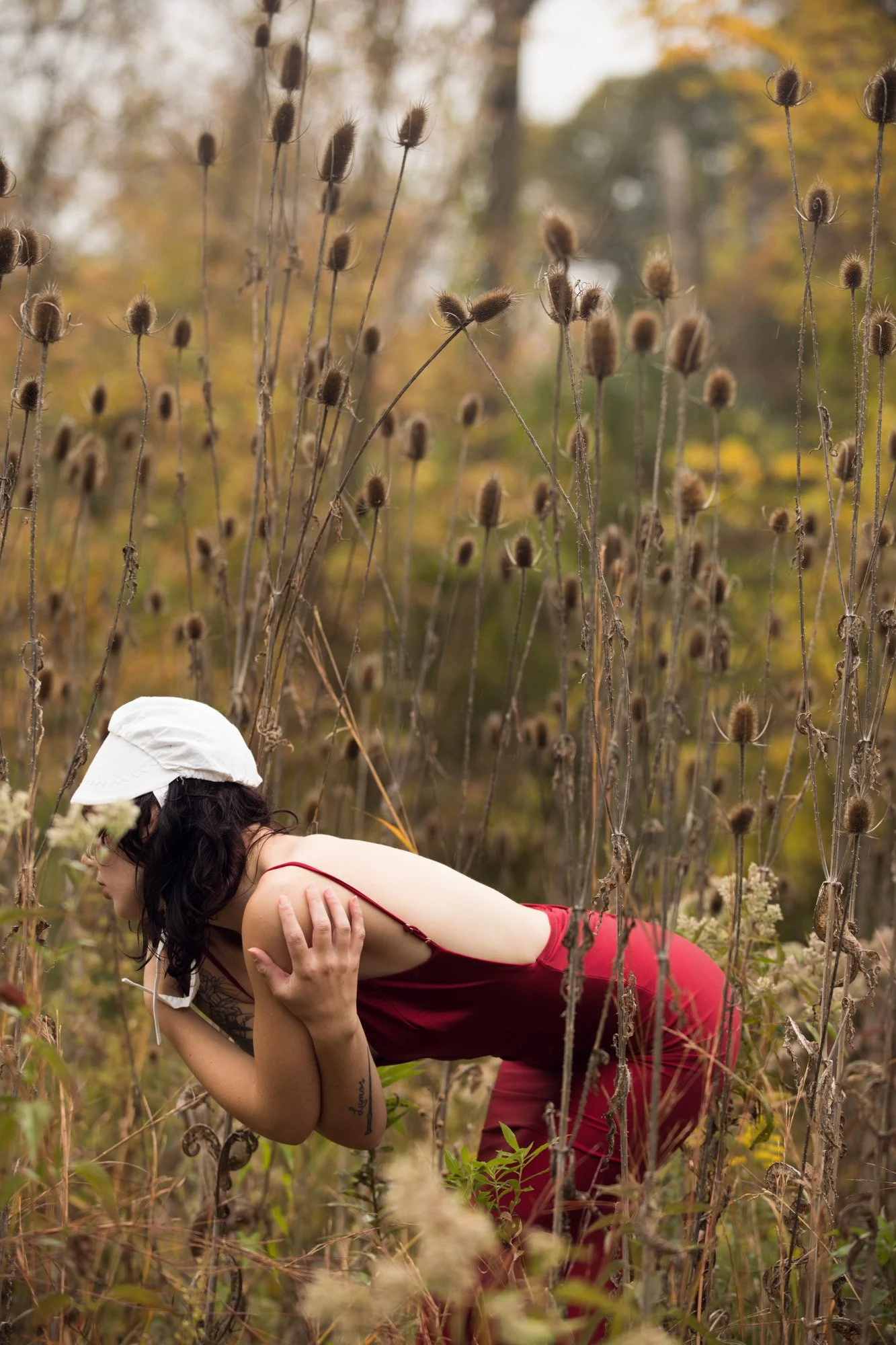 taylor_reddress-137414.jpg