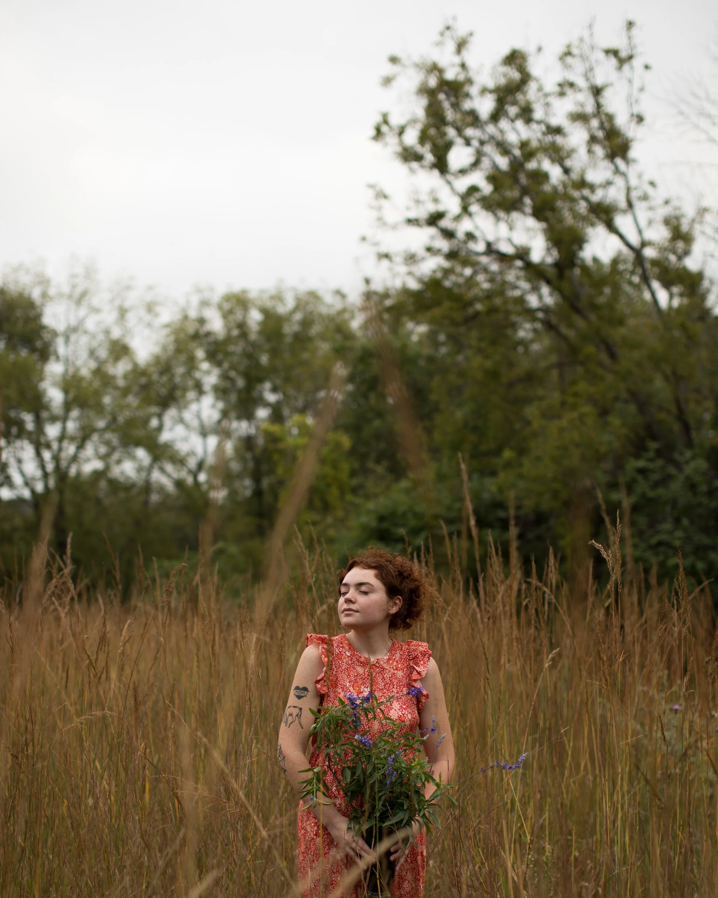 fern-90614.jpg