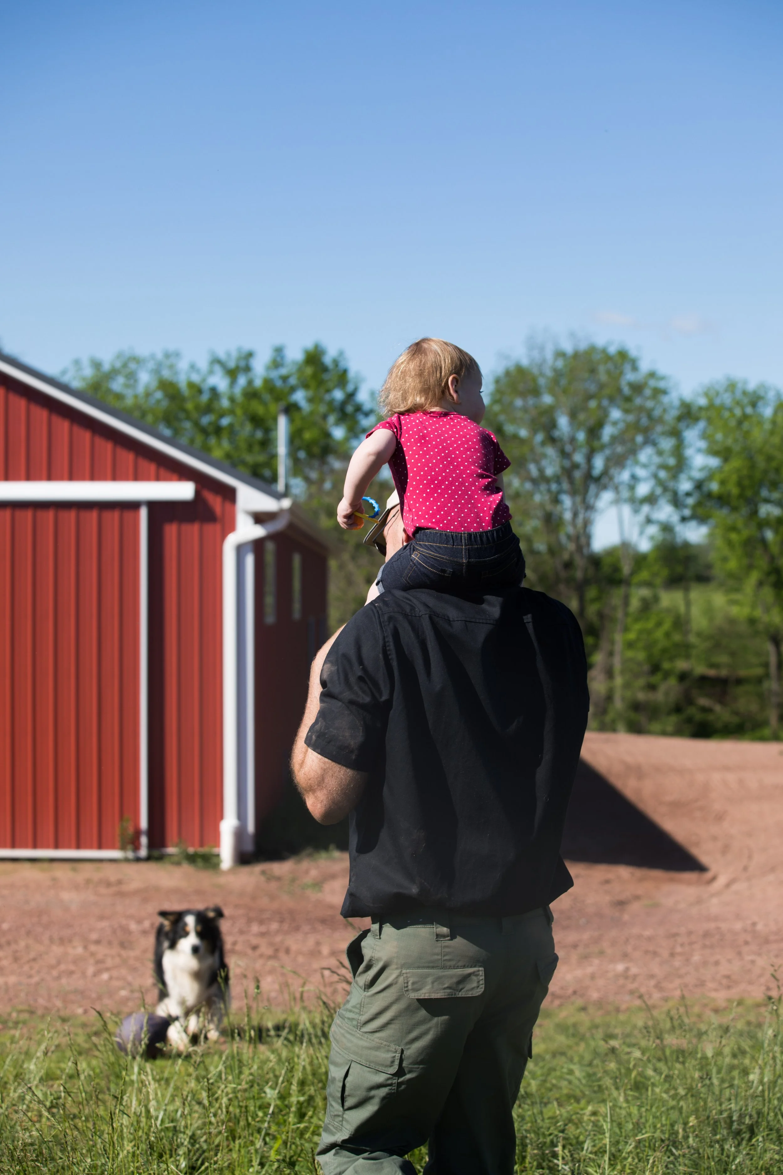 farm (118 of 260).jpg