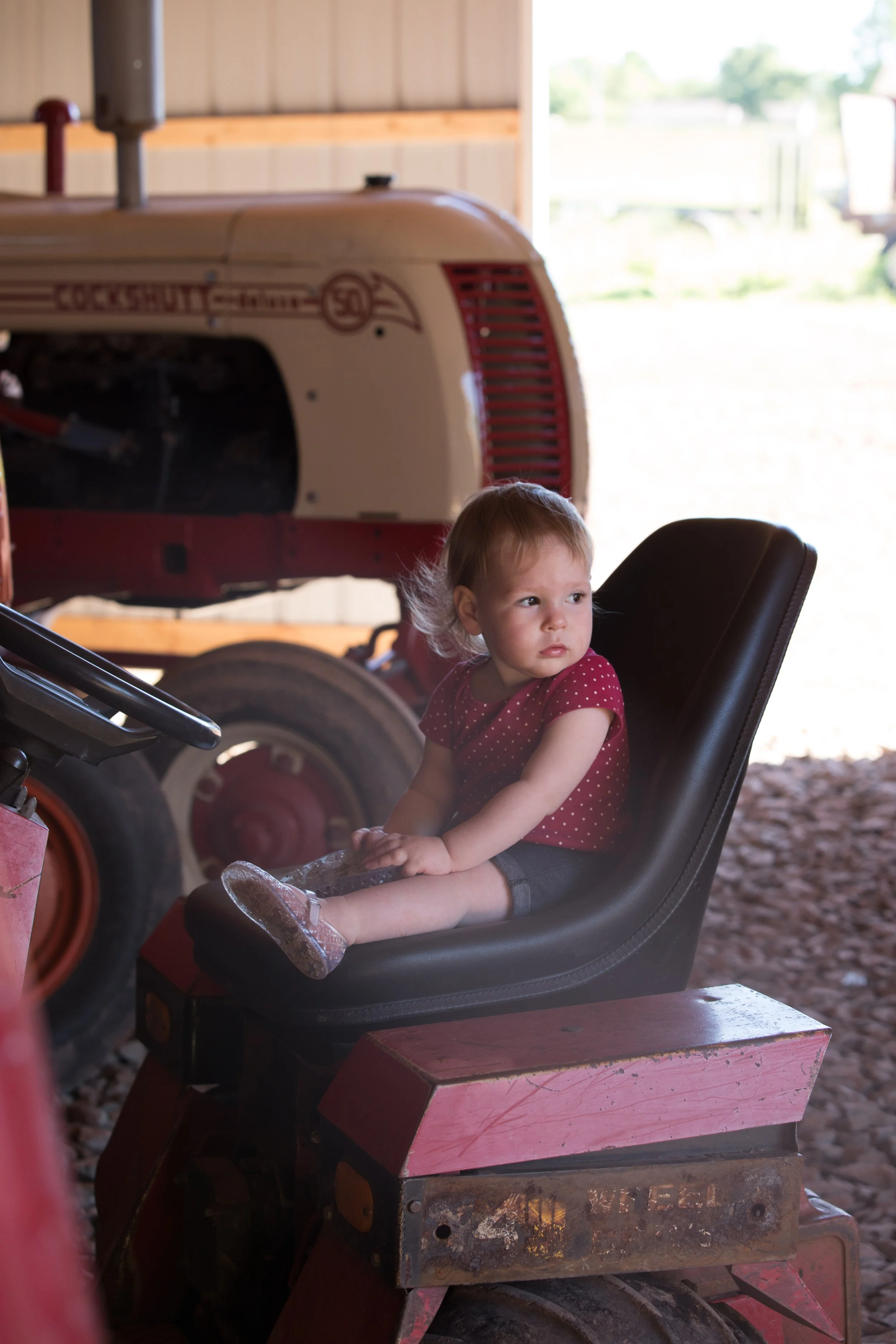 farm (65 of 260).jpg