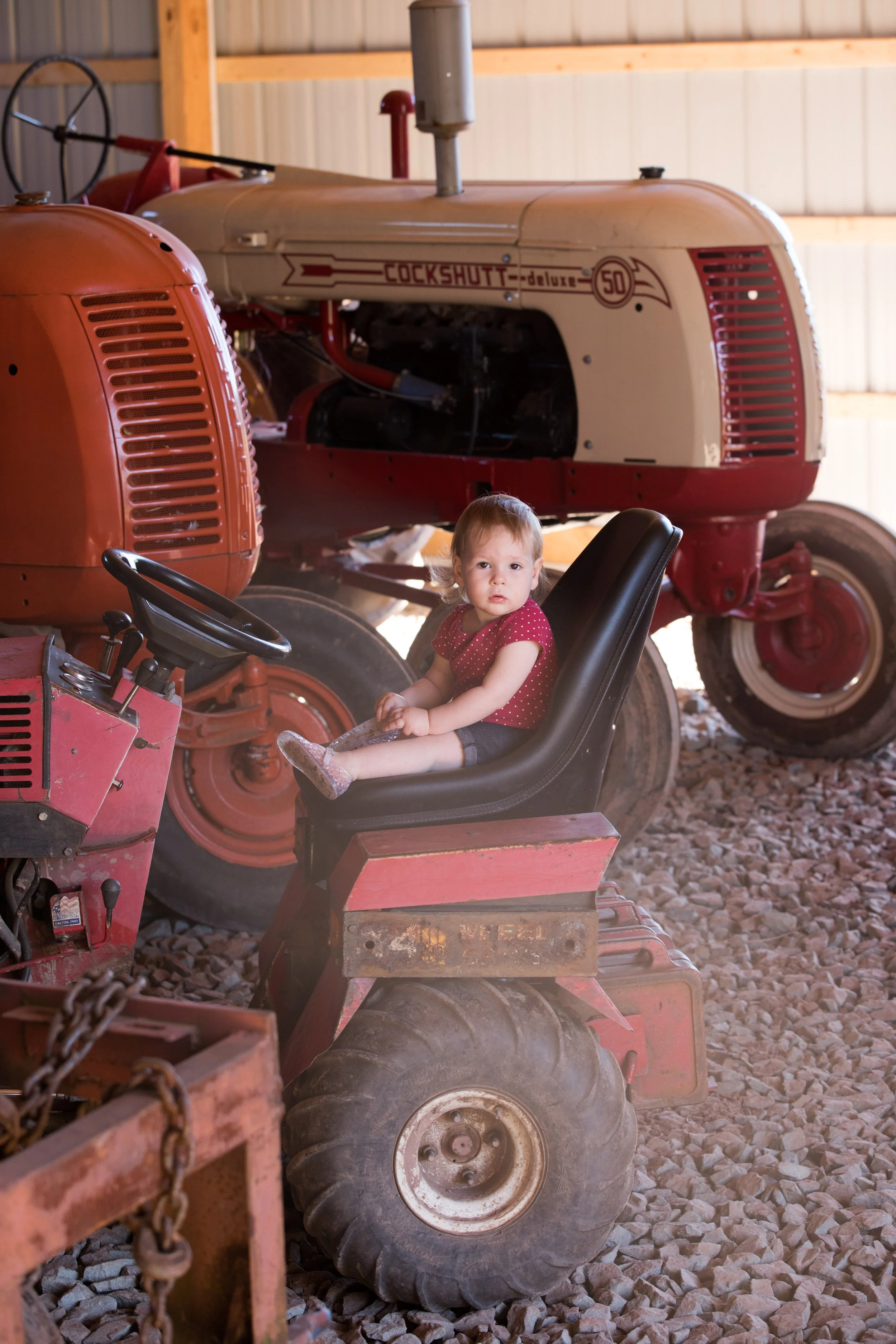 farm (66 of 260).jpg