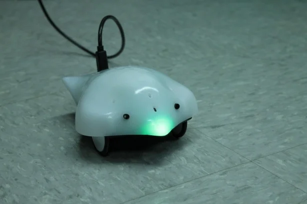 Finch-Robots.jpg
