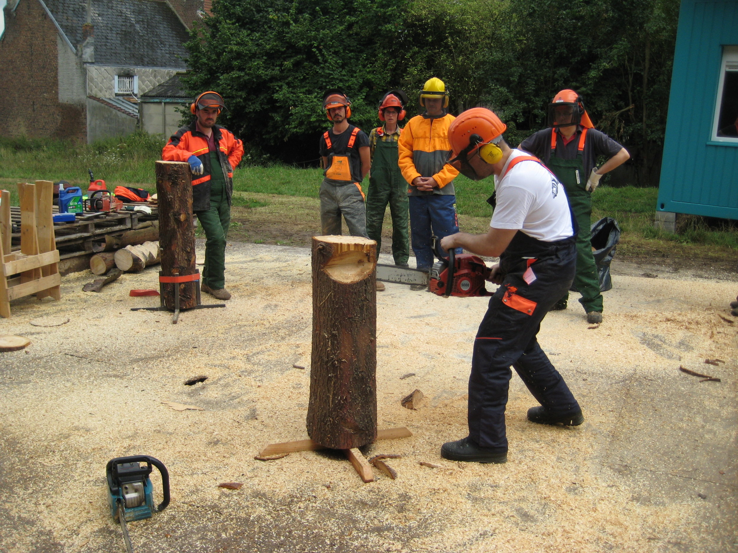 Chainsaw training