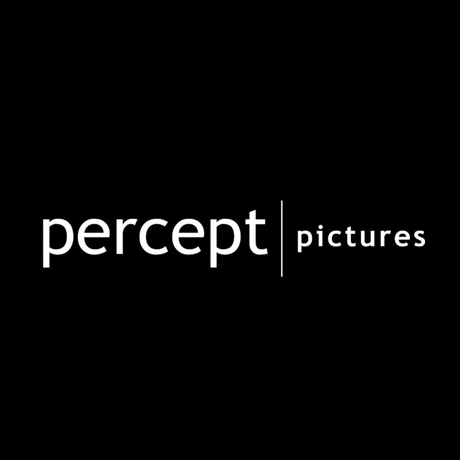 Percept Pictures