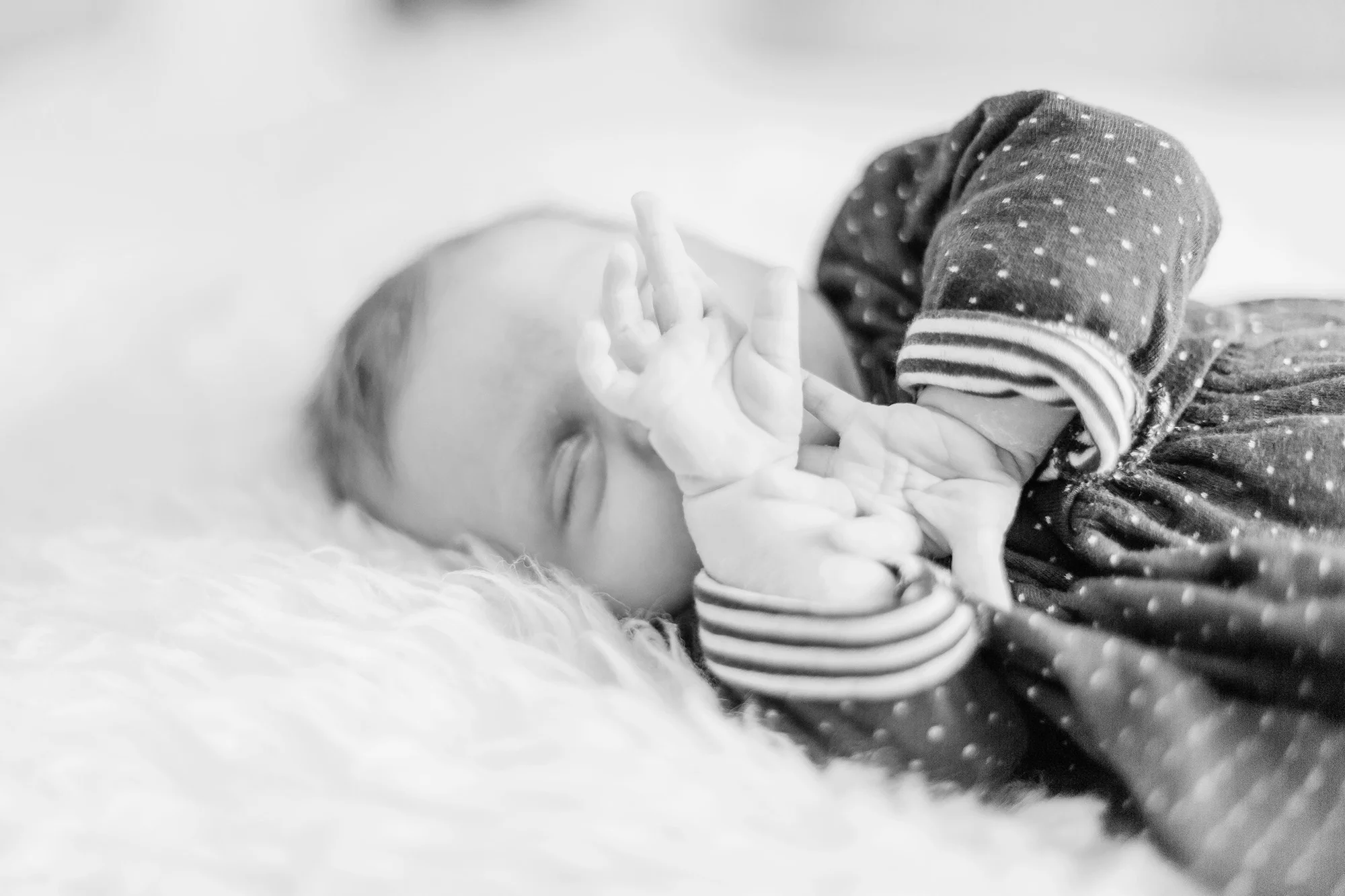 IMG_2641 copy.jpg