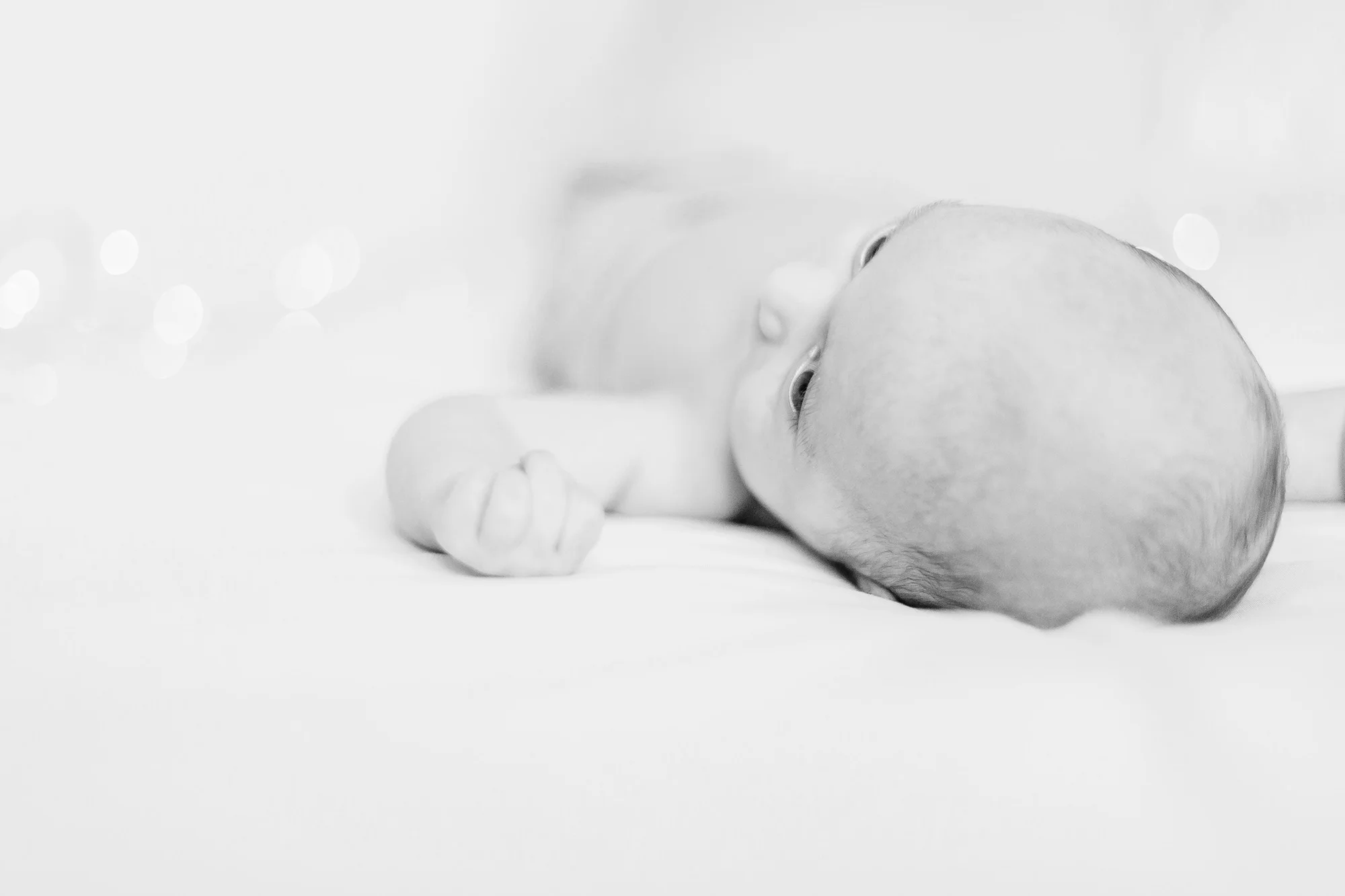 IMG_8100 copy.jpg