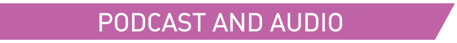 AUDIOArtboard+2@300x.png