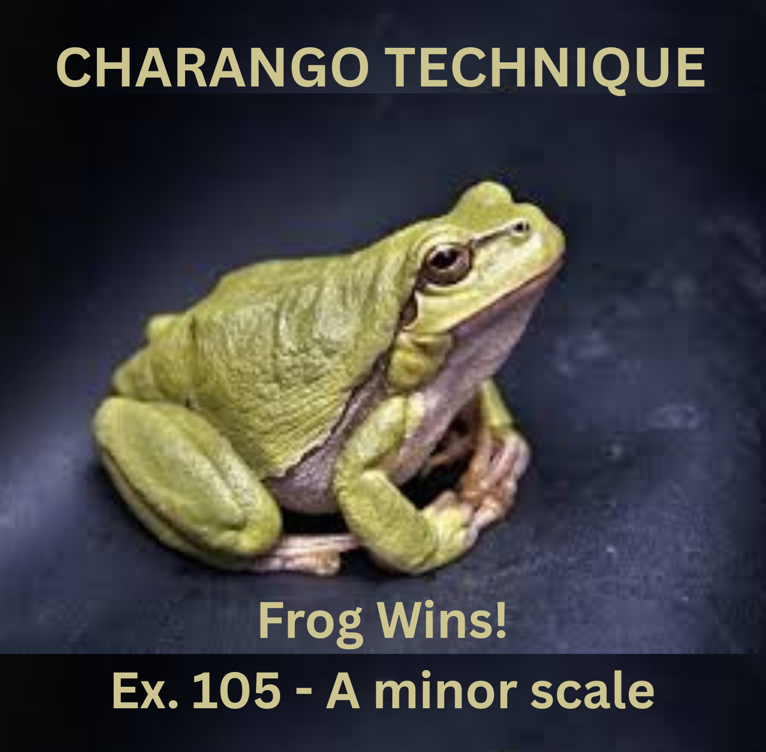 Frog Wins! Ex. 105 A minor scale on charango.png