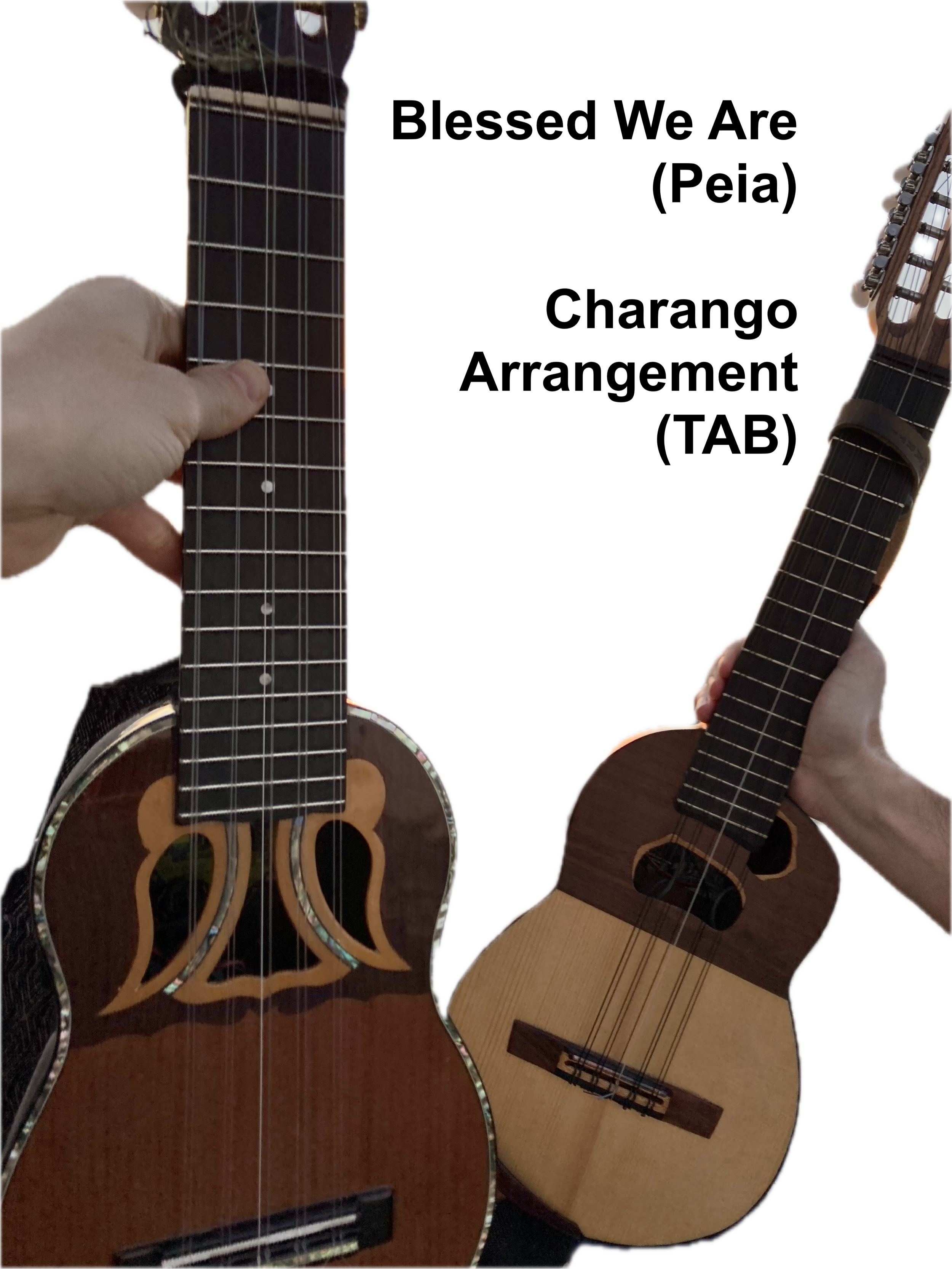 Charango and Ronroco on beach.png