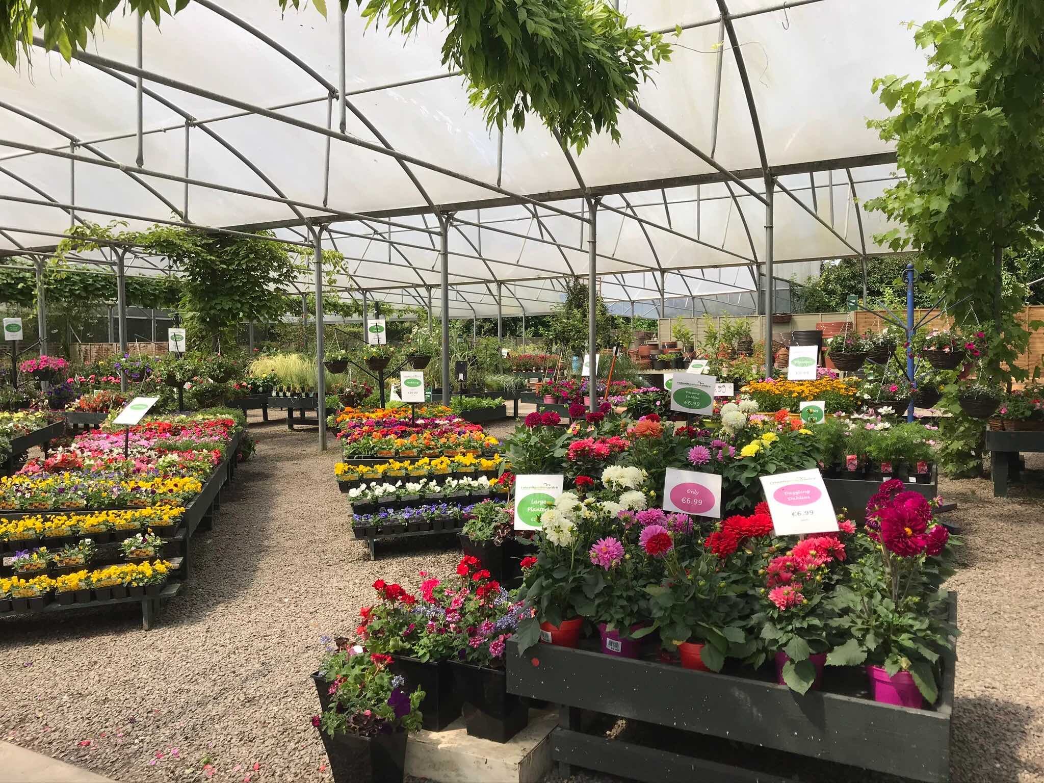 Ratoath Garden Centre