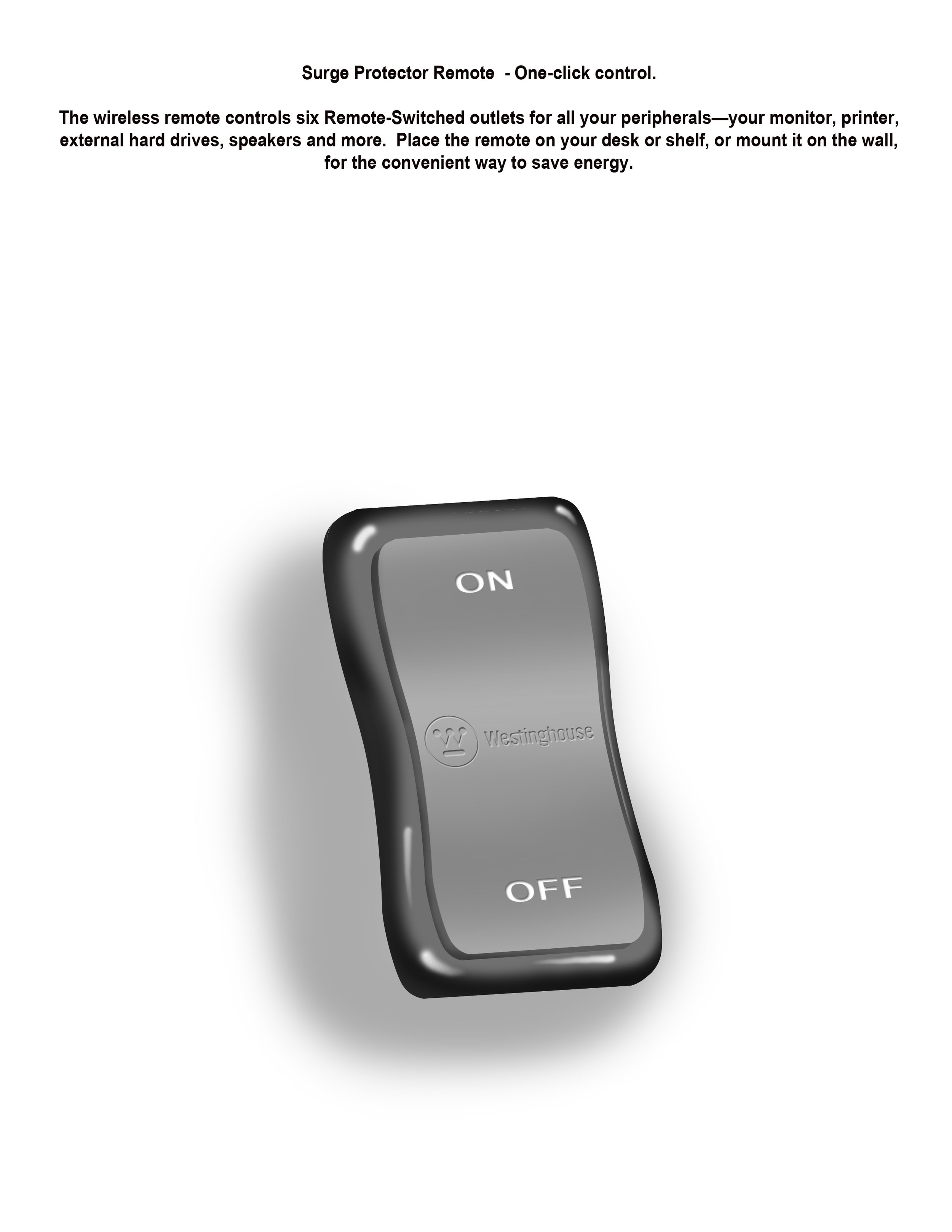 surge remote switch.jpg