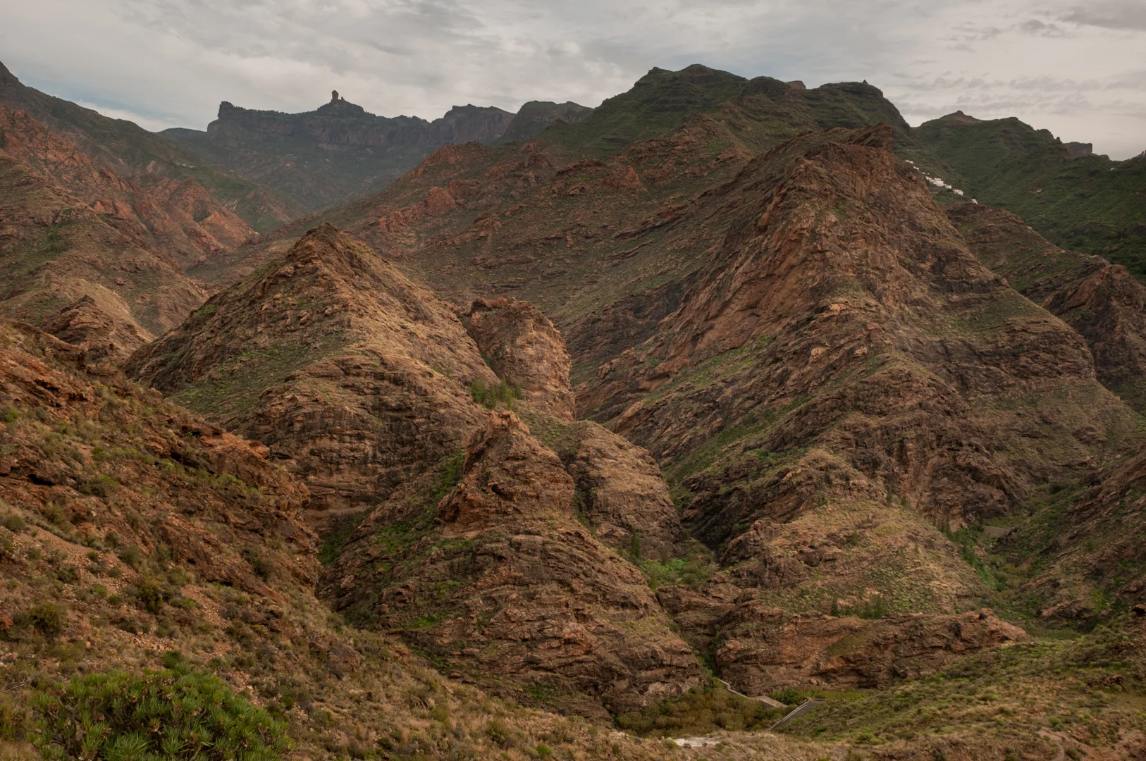 Gran Canaria-0453.jpg
