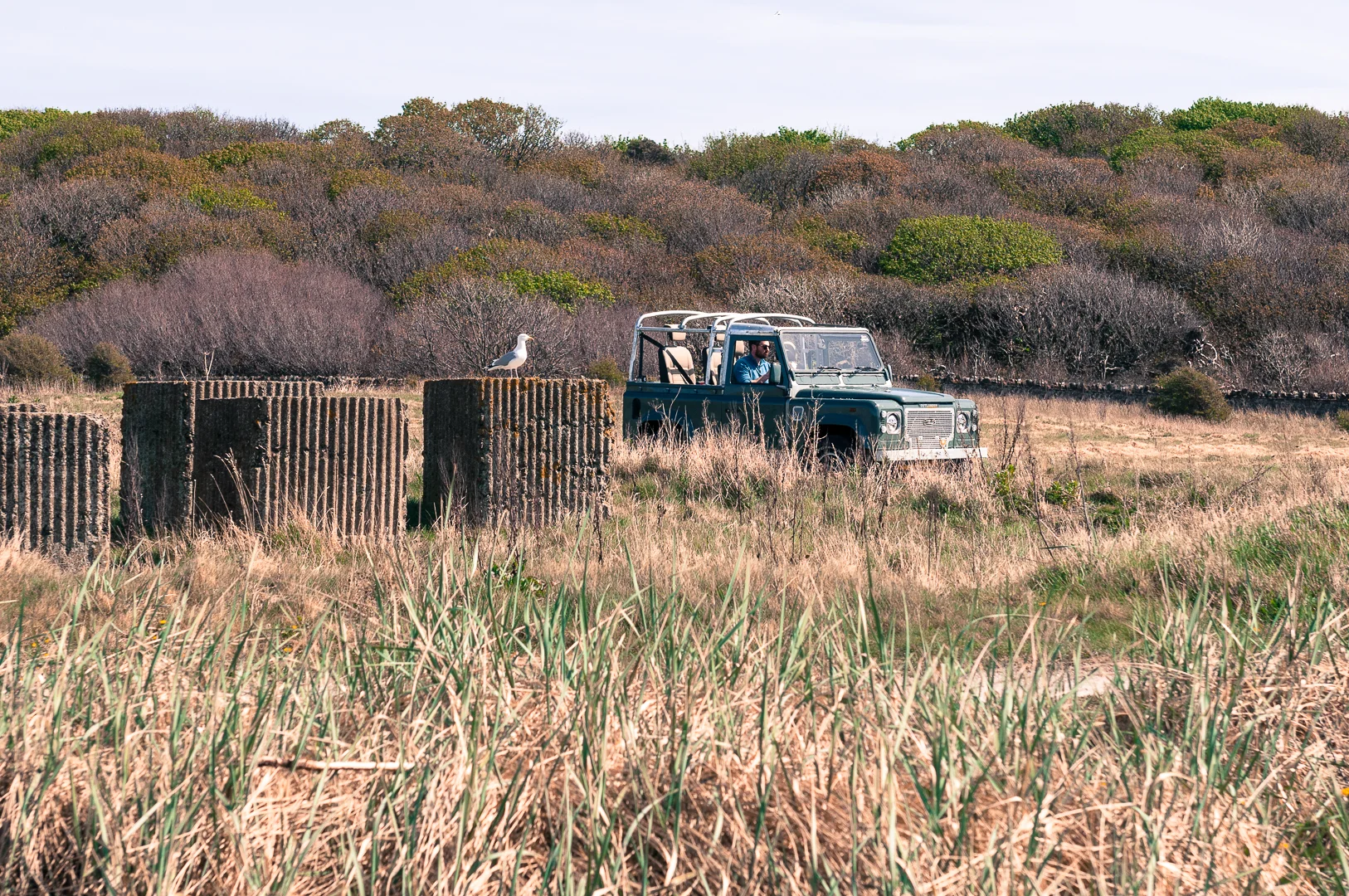 Longniddry Bents Parking-170423-4144.jpg