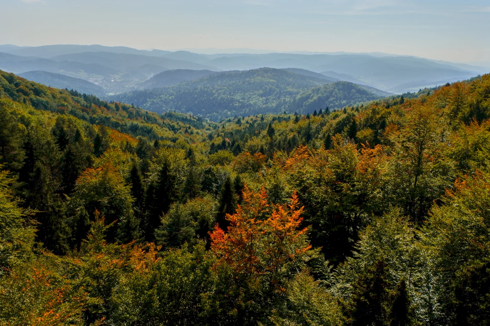 Krynica Zdroj - way for a top of Jaworzyna 1114 above sea lvl