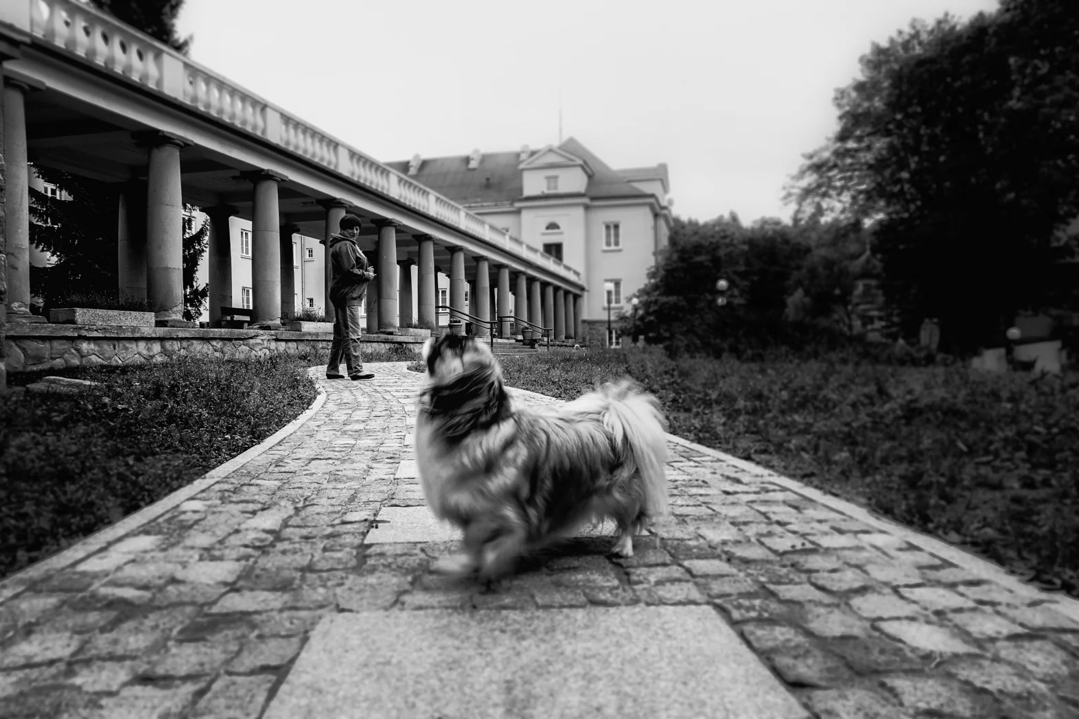 Krynica Zdroj BW - 2018 - DSCF1374-2018.jpg