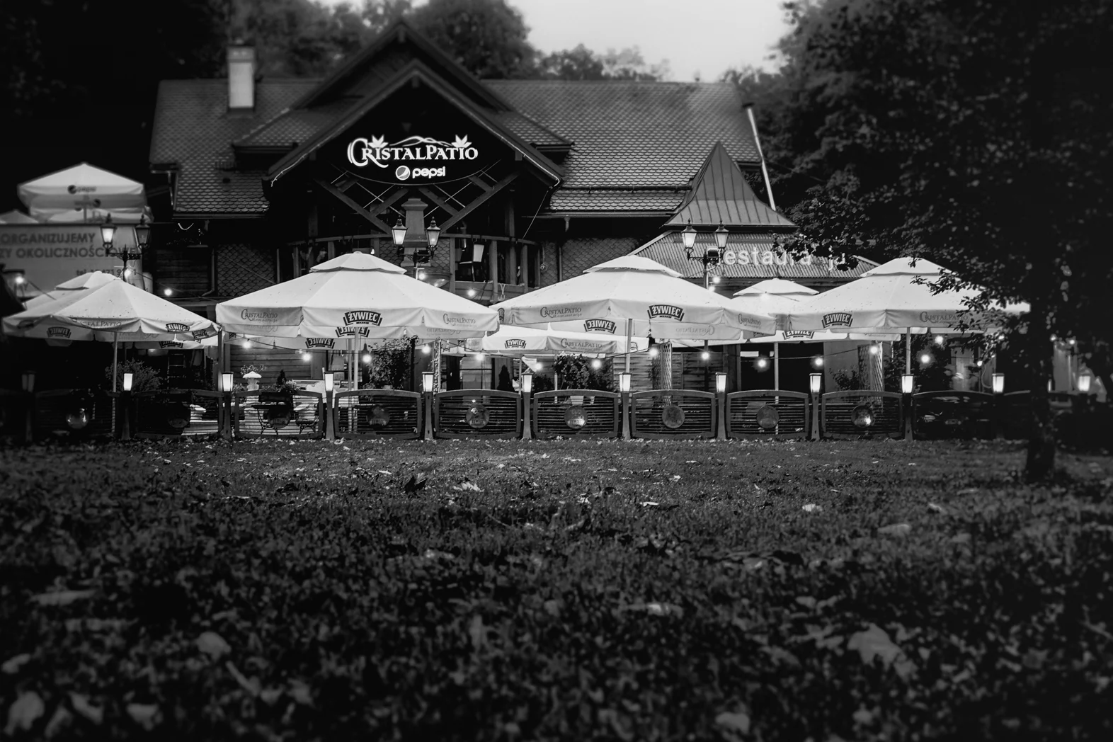 Krynica Zdroj BW - 2018 - DSCF1659-2018.jpg