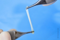 Endoret BTI Fibrine.jpg