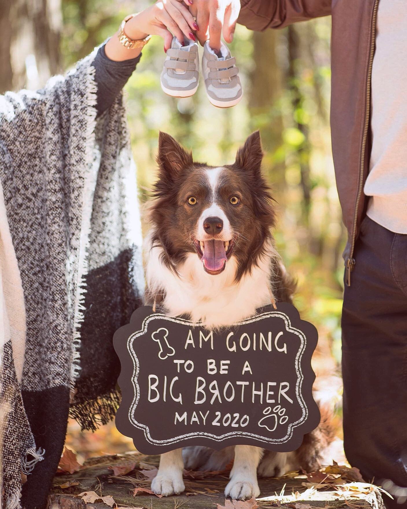 The CUTEST big brother ever! Soooooo happy I was able to photograph this amazing announcement &amp; even more excited to meet baby K in May! Congratulations @_nail.queen_ lovelovelove u💛🐶👶🏼💓💫
.
.
.
.
.
.

#birthannouncement #nailqueen #bigbroth