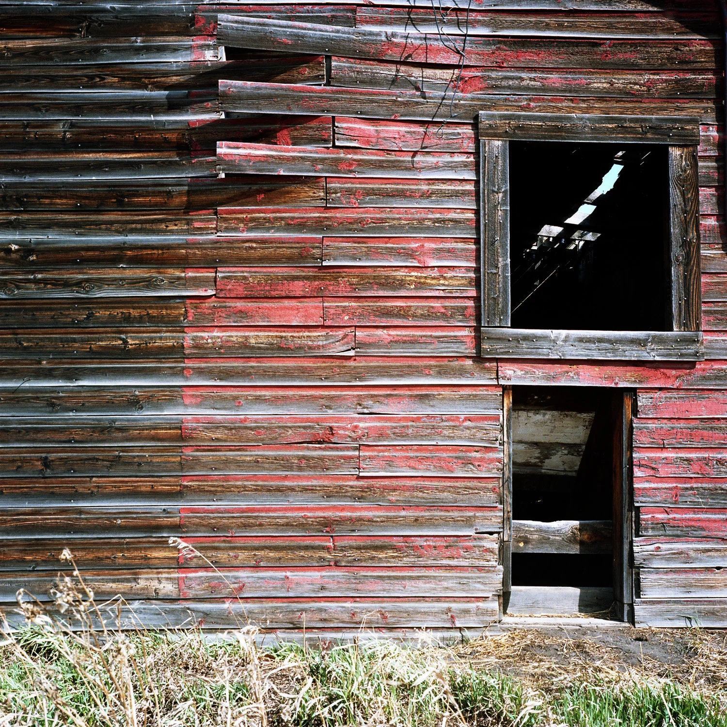 Sturgeon county remains