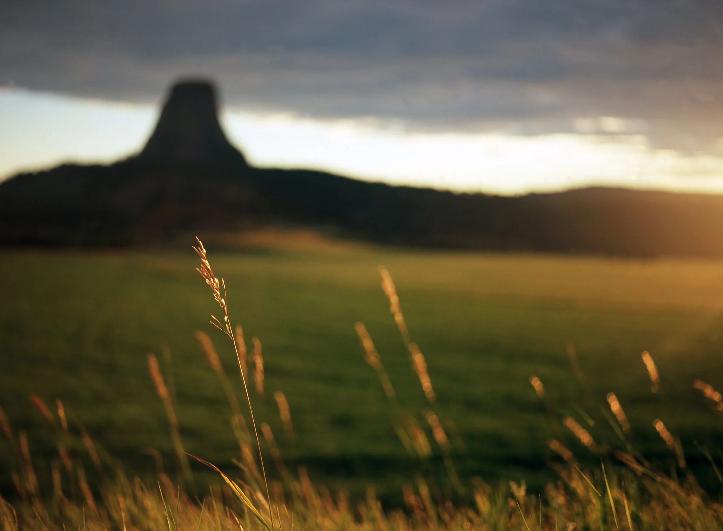 first look at the devil's tower