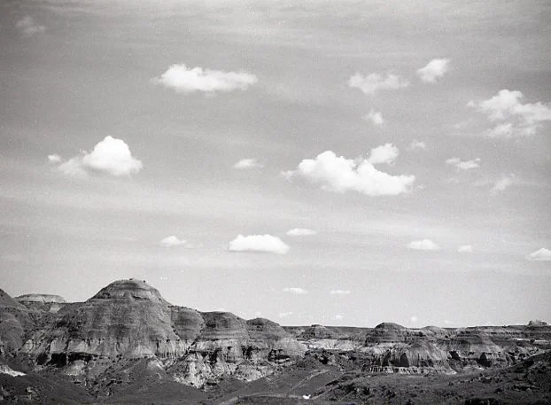 where the dinosaurs roam