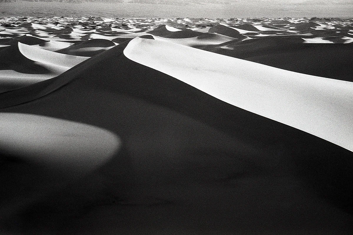 sunrise in the dunes
